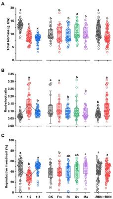 A response of biomass and nutrient allocation to the combined effects of soil nutrient, arbuscular mycorrhizal, and root-knot nematode in cherry tomato